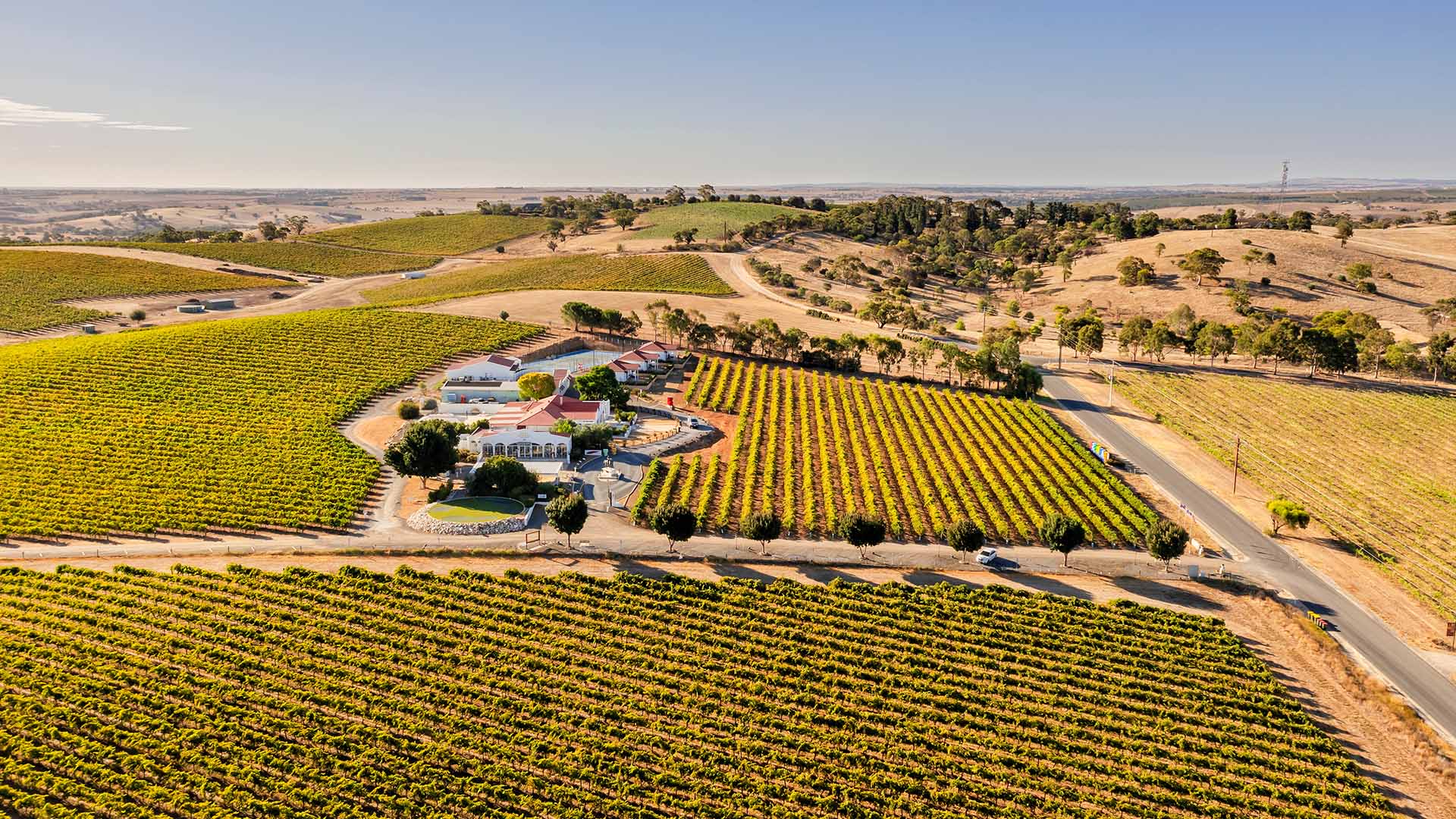 Barossa Valley Wine Trail by Campervan: A Complete Touring Guide