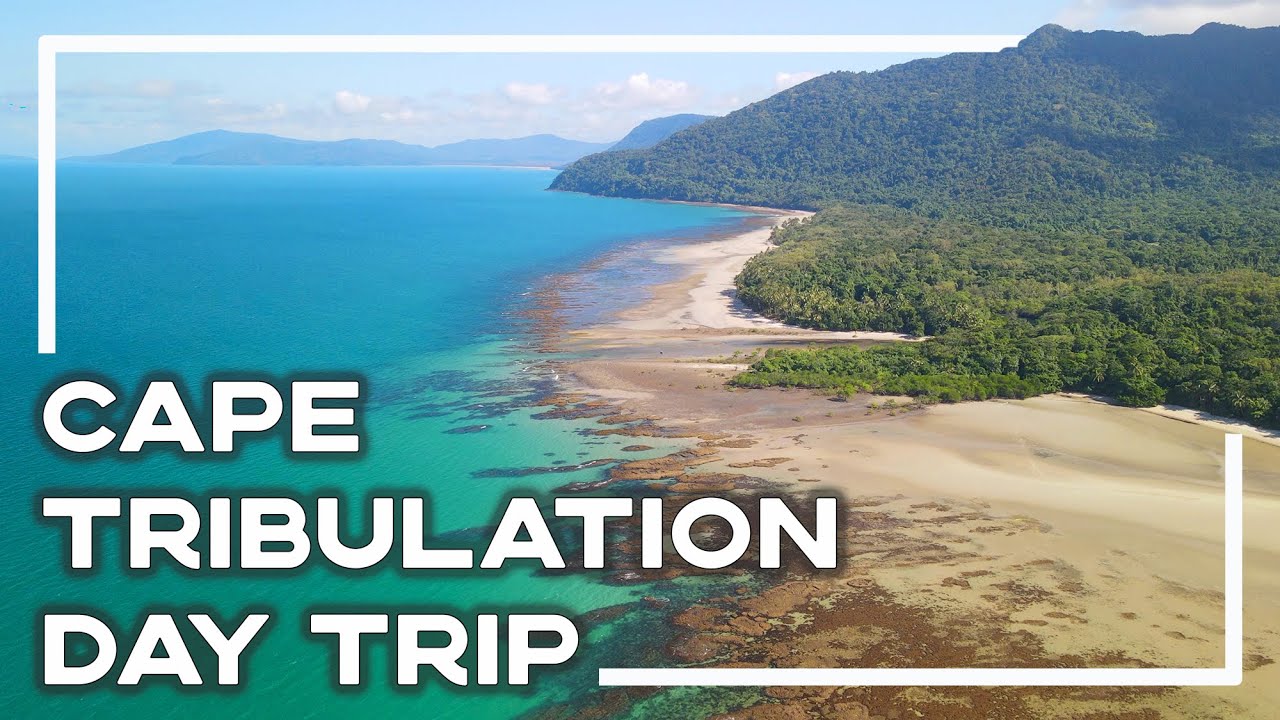 Cairns to Cape Tribulation Road Trip: Into the Daintree