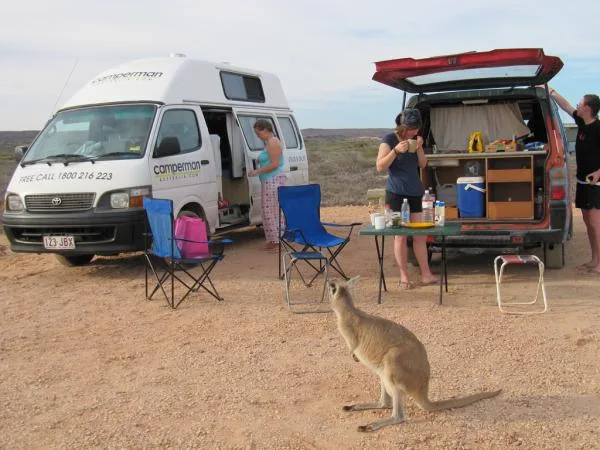 Best Campervans for Young Drivers & P-Platers in Australia (2026)