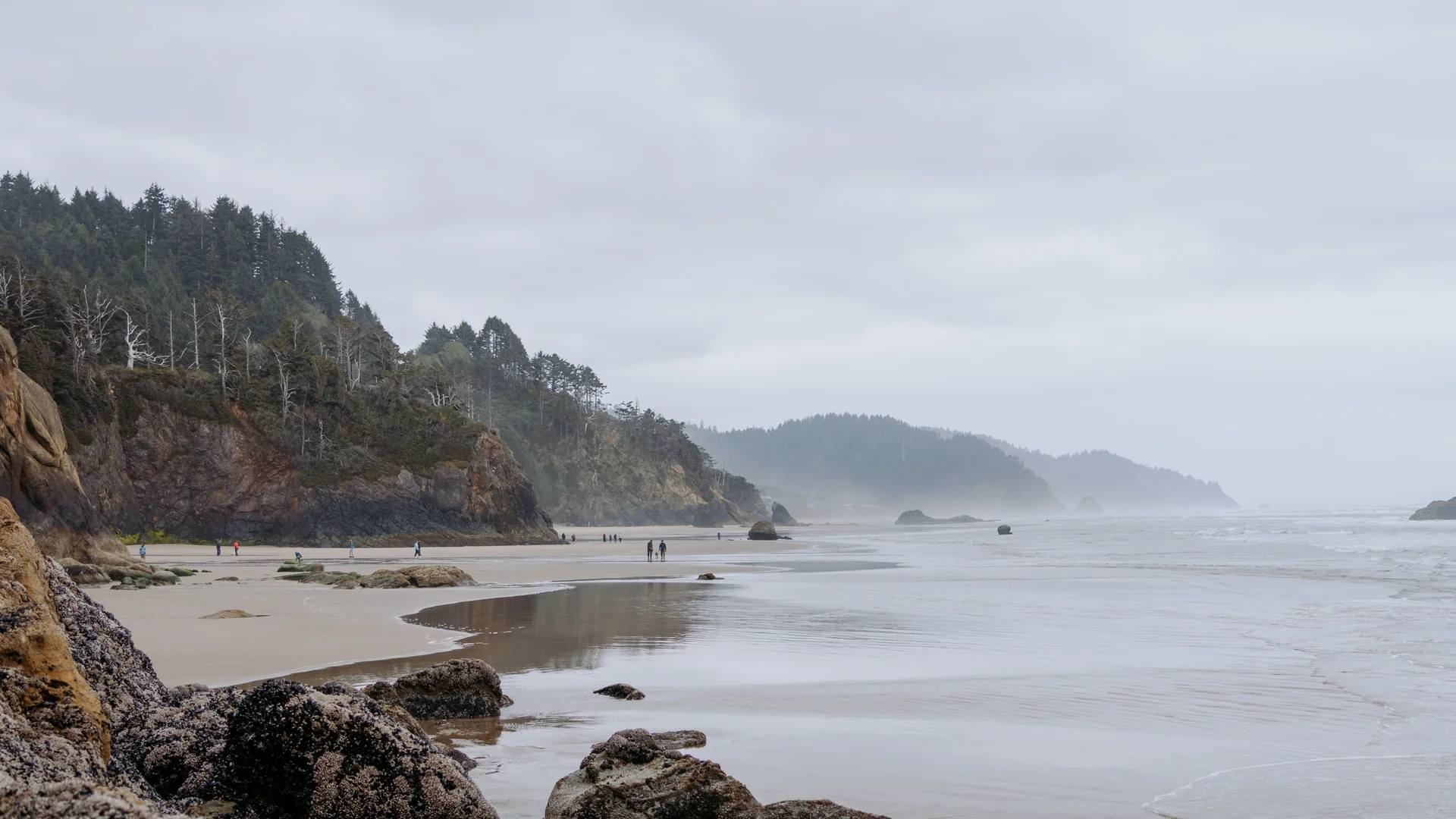 Pacific Northwest RV Road Trip: Seattle, Portland & the Oregon Coast (2026)