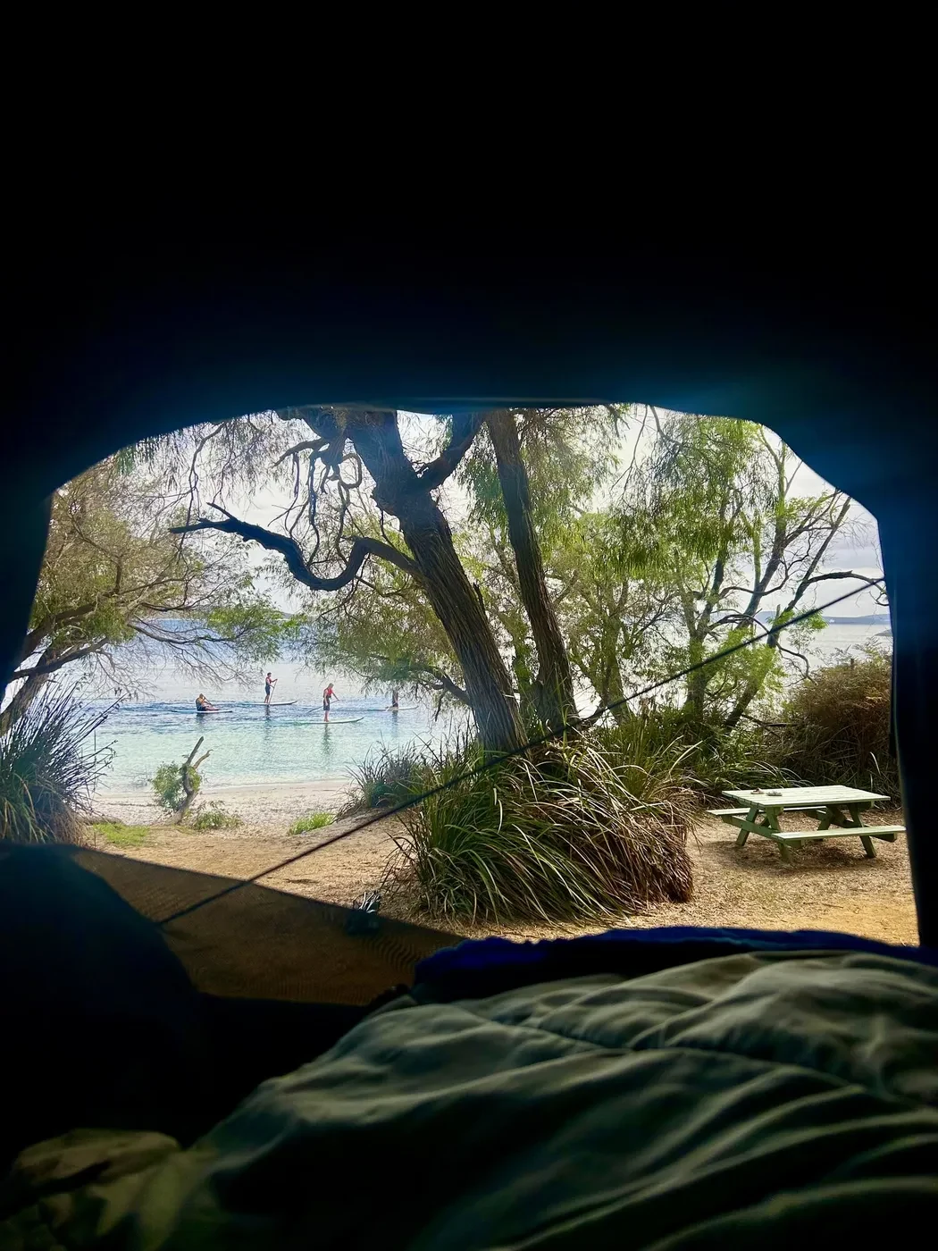 View from inside a rooftop tent through the mesh window, looking at paddleboarders on crystal clear turquoise water at a Denmark campground