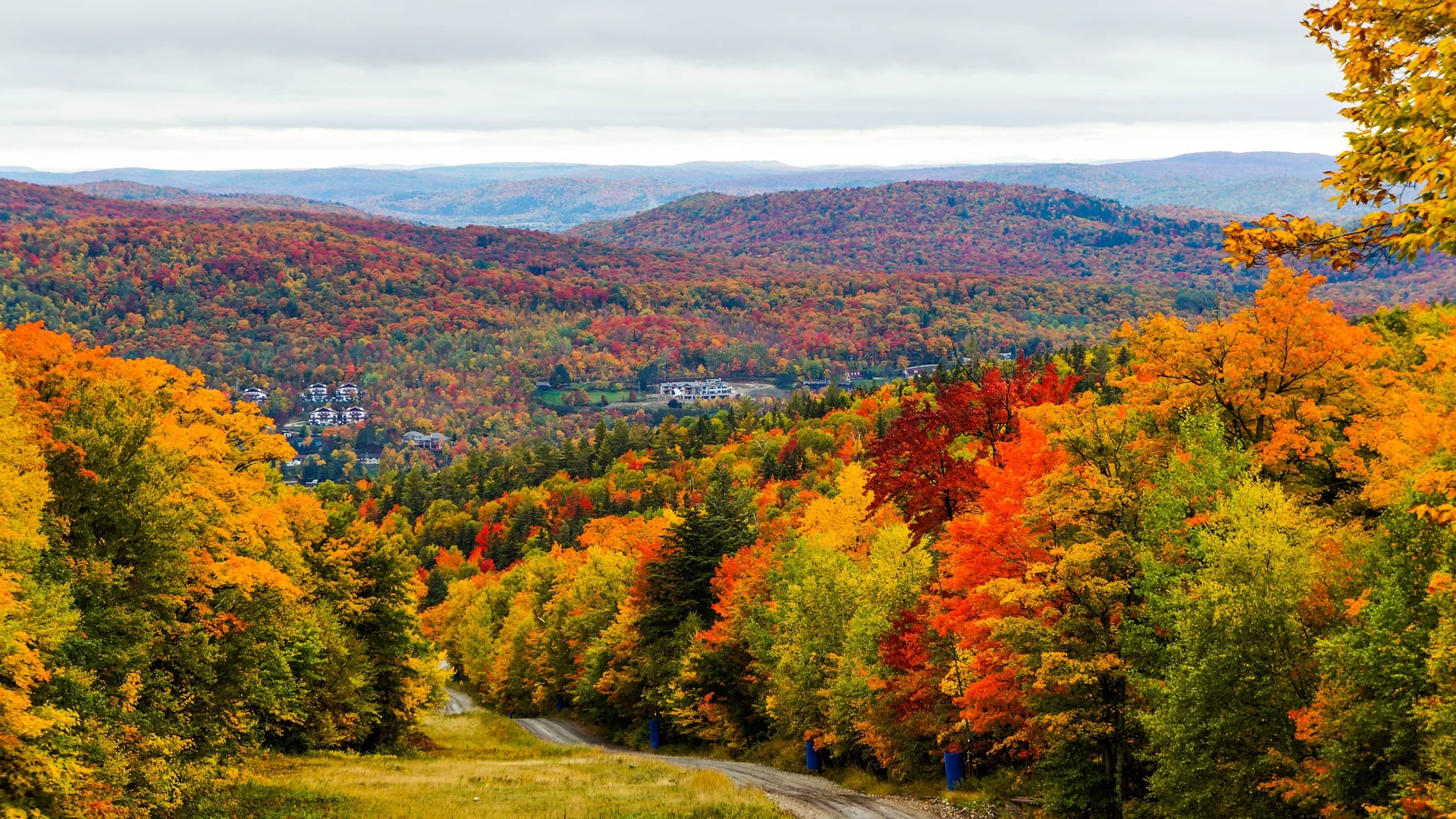 Quebec & Montreal RV Road Trip: Autumn Colours, Culture & Cuisine (2026)