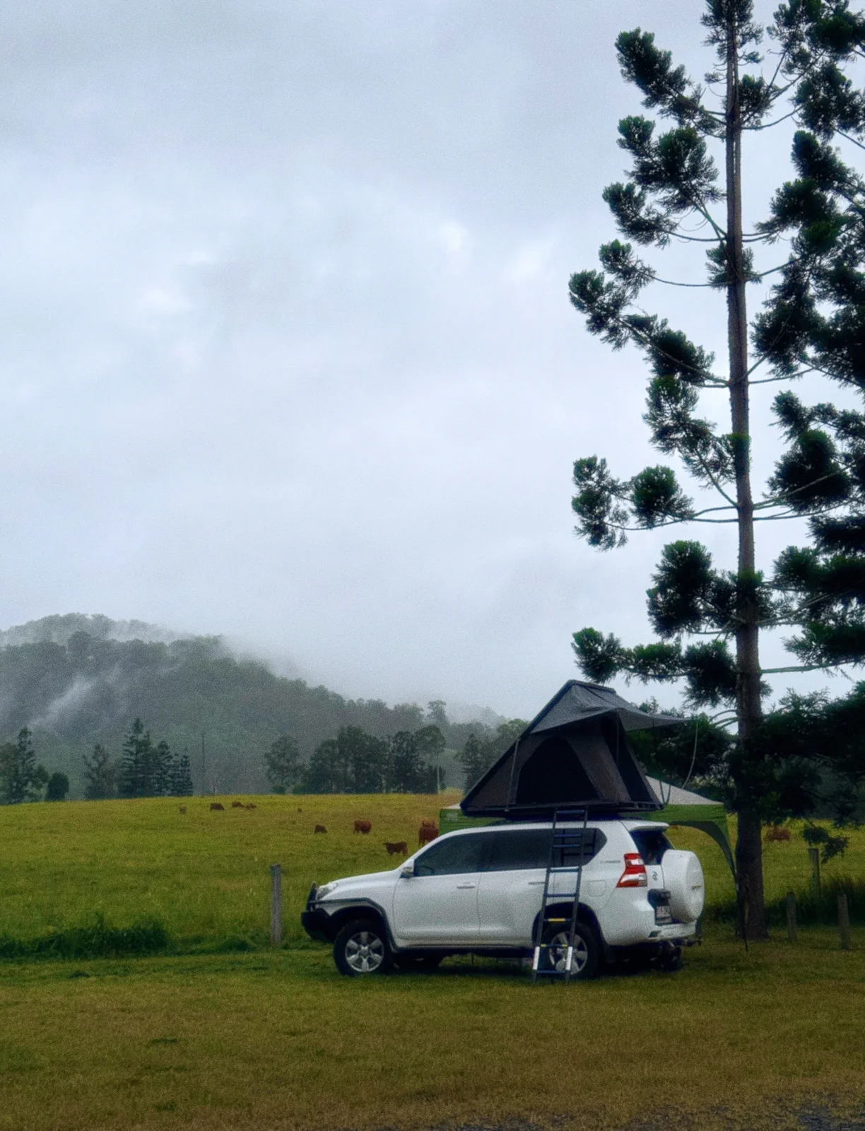 Brisbane to Noosa in a Spaceship Beta: Sierra's Long Weekend Hinterland Escape