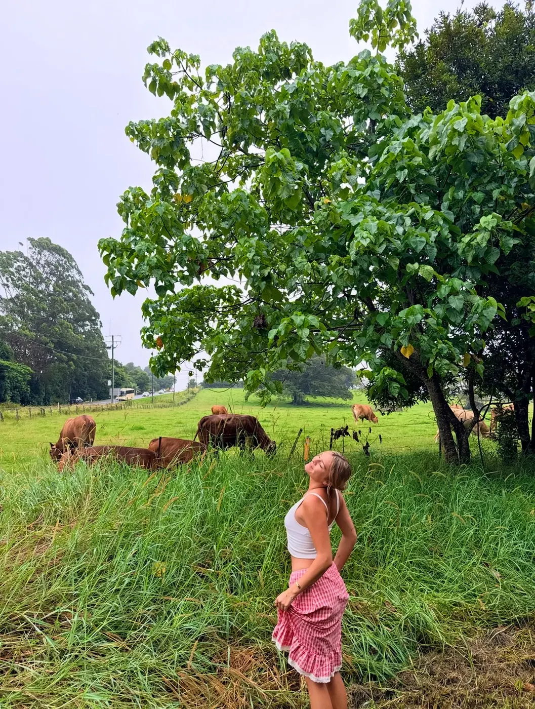 Sierra standing in long green grass with brown cattle grazing in the background under a large tree in the Sunshine Coast hinterland