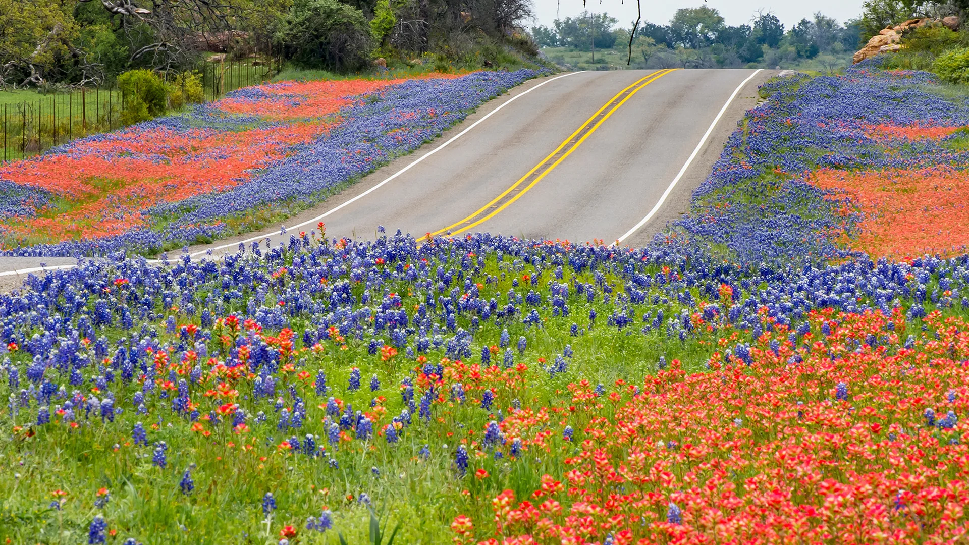 Texas Hill Country RV Road Trip: BBQ, Bluebonnets & Back Roads (2026)