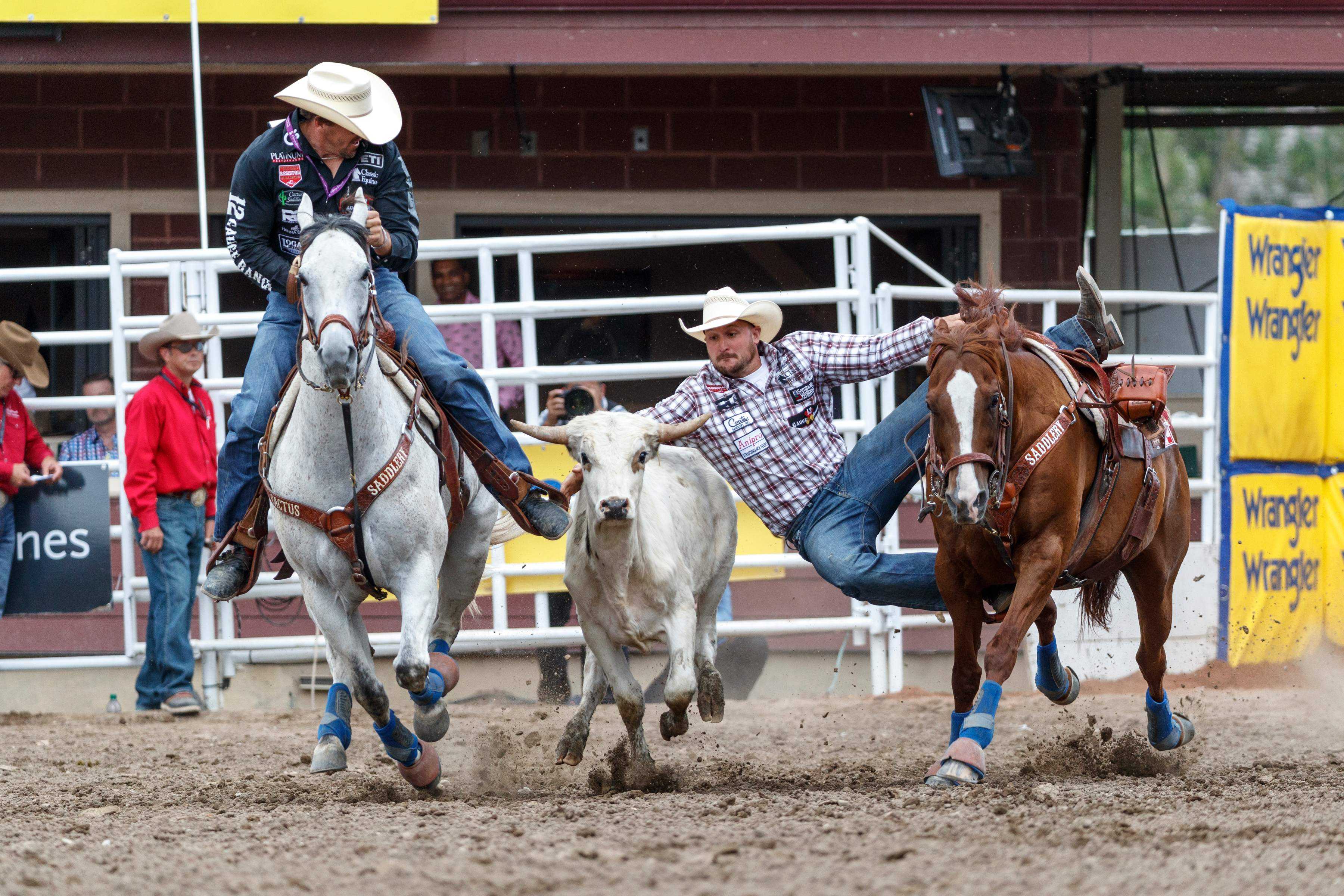 Calgary Stampede — Calgary, AB